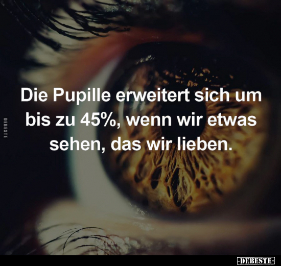 Die Pupille erweitert sich um bis zu 45%.. - Lustige Bilder | DEBESTE.de