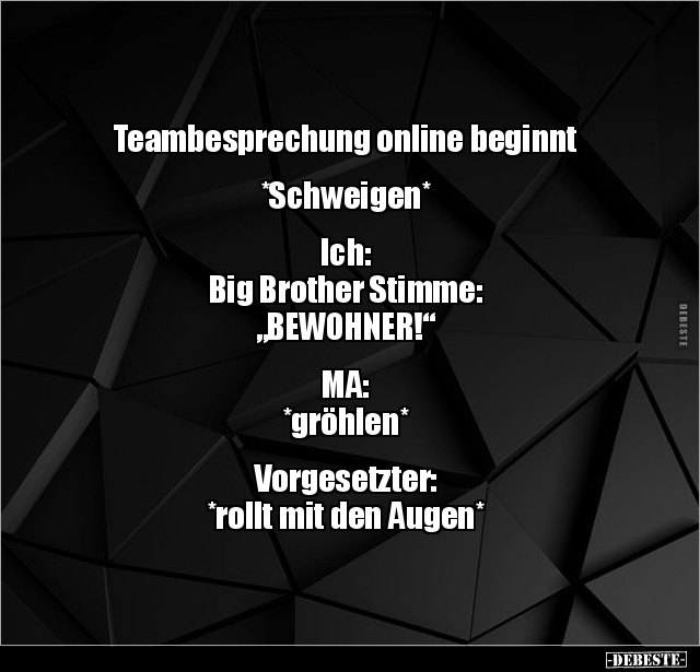 Teambesprechung online beginnt *Schweigen* - Lustige Bilder | DEBESTE.de