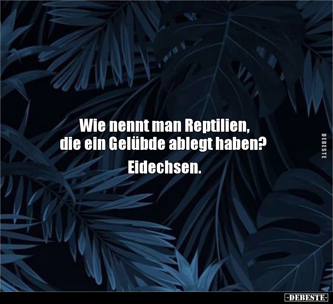 Wie nennt man Reptilien,
die ein Gelübde ablegt haben?
Eidechsen.