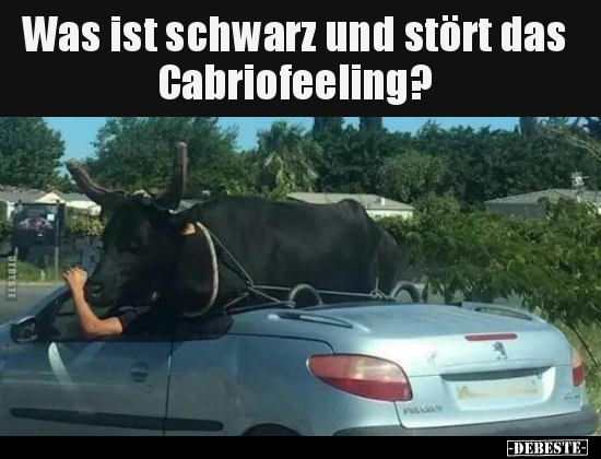 Was ist schwarz und stört das Cabriofeeling?.. - Lustige Bilder | DEBESTE.de