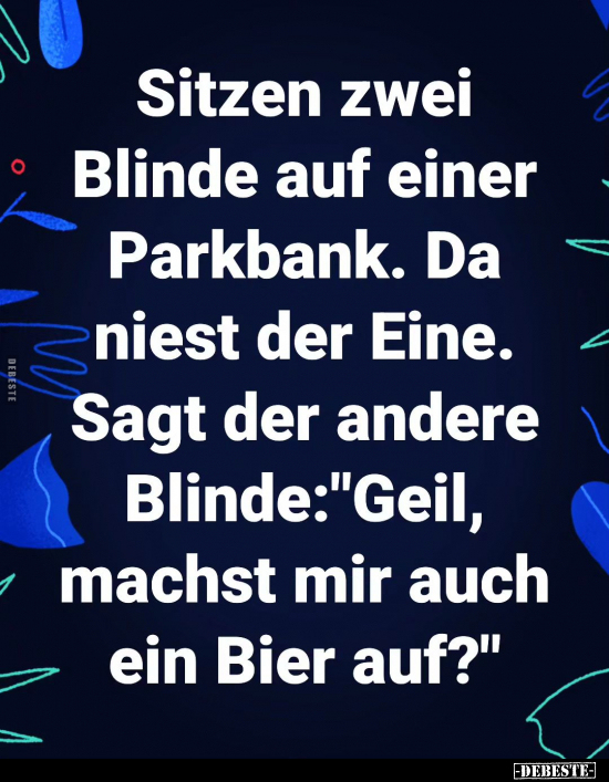 Sitzen zwei Blinde auf einer Parkbank... - Lustige Bilder | DEBESTE.de