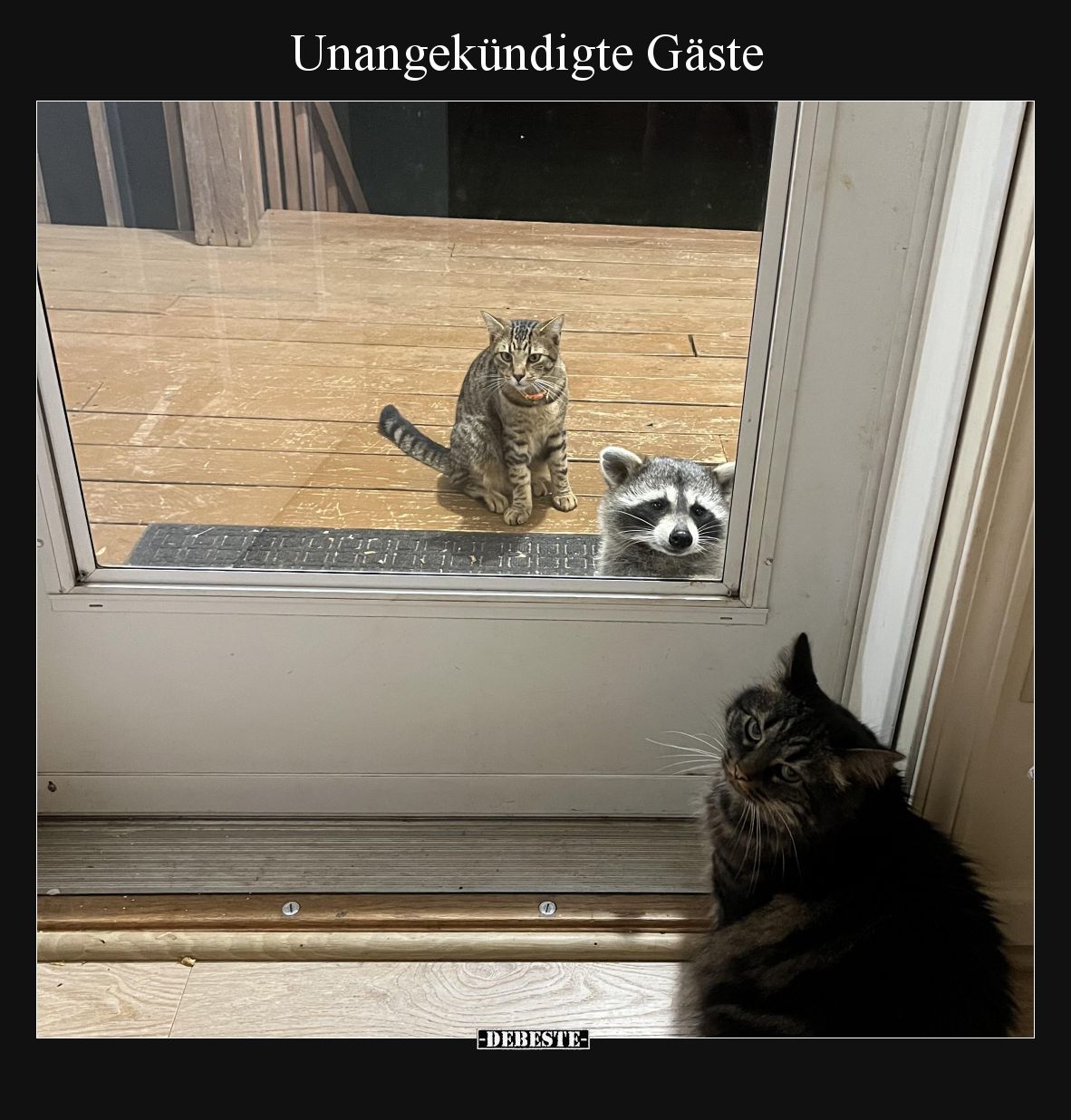 Unangekündigte Gäste