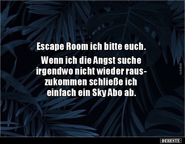 Escape Room ich bitte euch. Wenn ich die Angst suche.. - Lustige Bilder | DEBESTE.de