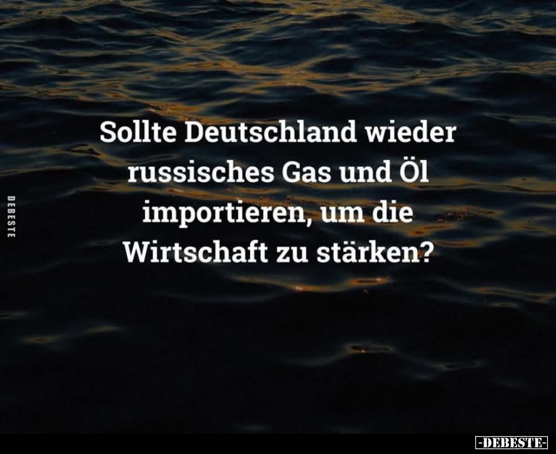 Sollte Deutschland wieder russisches Gas und Öl importieren, um die Wirtschaft zu stärken?