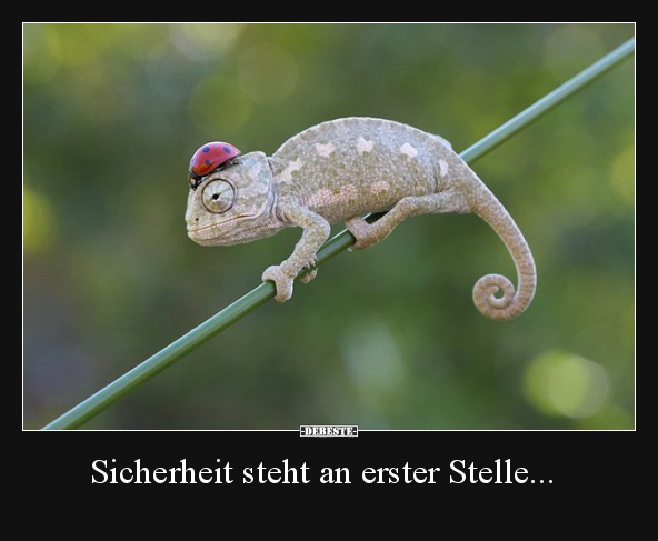 Sicherheit steht an erster Stelle... - Lustige Bilder | DEBESTE.de