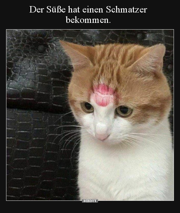 Der Süße hat einen Schmatzer bekommen...