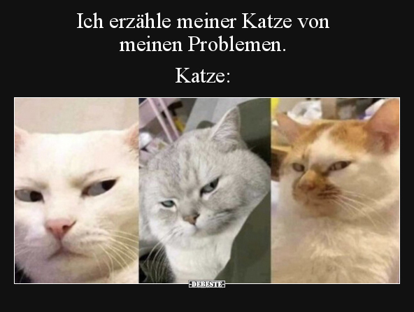 Ich erzähle meiner Katze von meinen Problemen. Katze.. - Lustige Bilder | DEBESTE.de