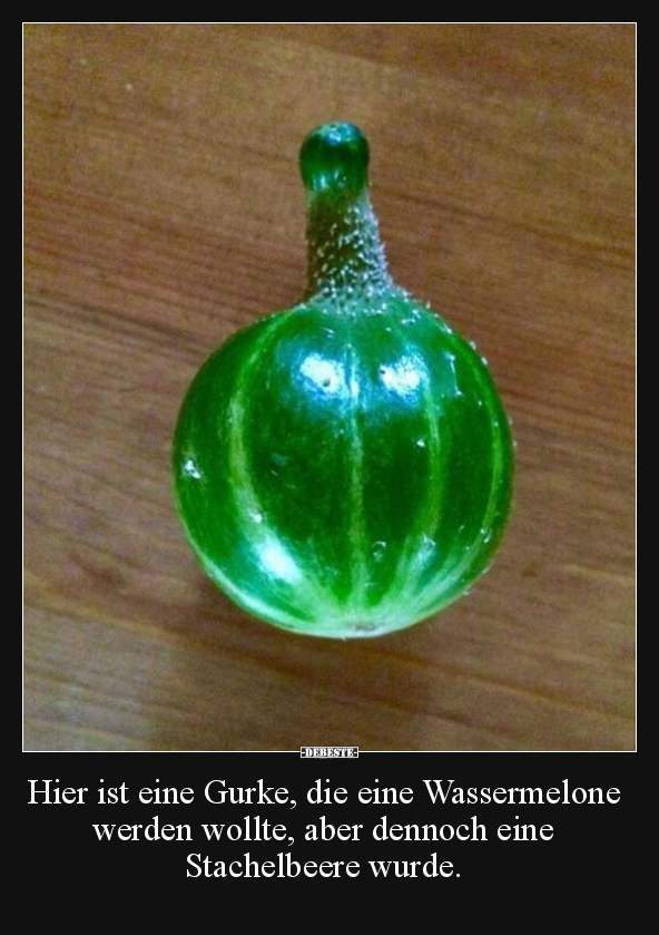 Hier ist eine Gurke, die eine Wassermelone werden wollte.. - Lustige Bilder | DEBESTE.de