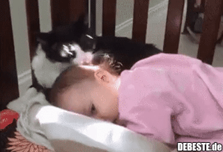 Huch, was war das denn?