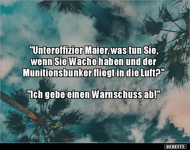 "Unteroffizier Maier, was tun Sie, wenn Sie Wache.." - Lustige Bilder | DEBESTE.de