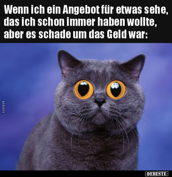 Wenn ich ein Angebot für etwas sehe, das ich schon immer haben wollte, aber es schade um das Geld war.