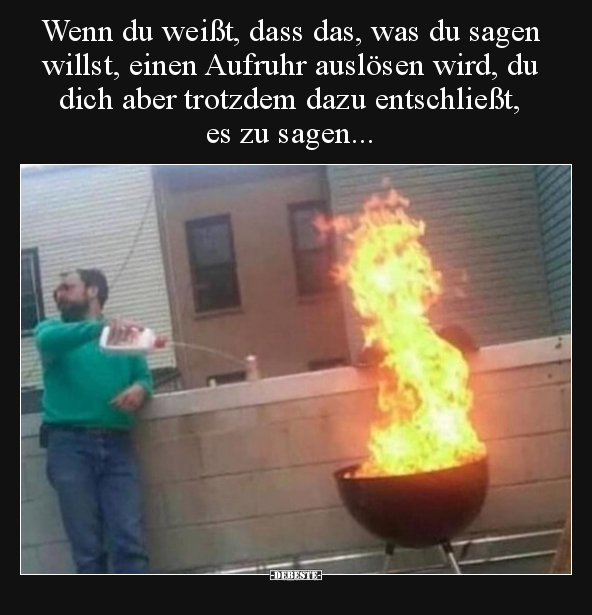 Wenn du weißt, dass das, was du sagen willst, einen Aufruhr.. - Lustige Bilder | DEBESTE.de