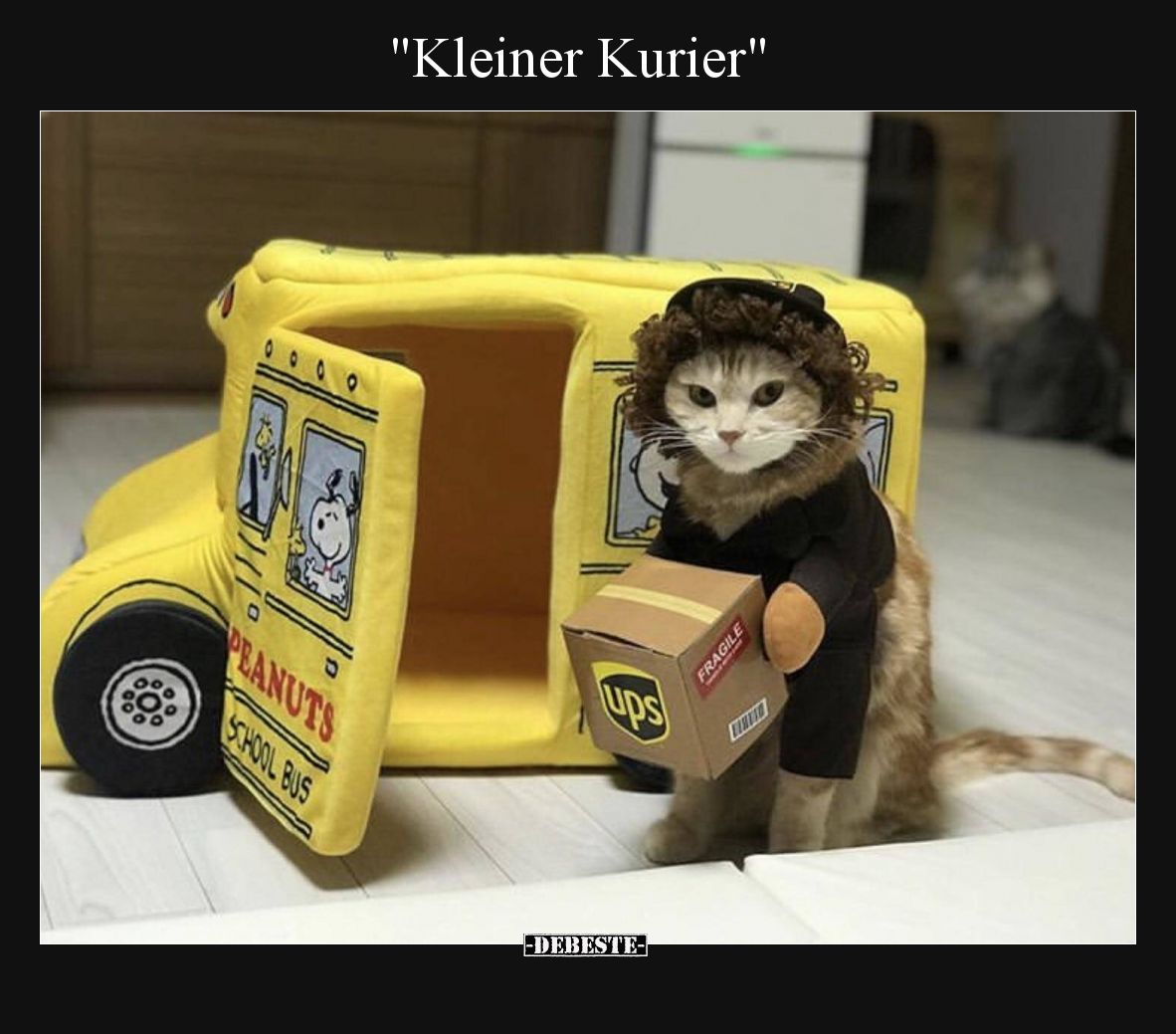 "Kleiner Kurier".. - Lustige Bilder | DEBESTE.de
