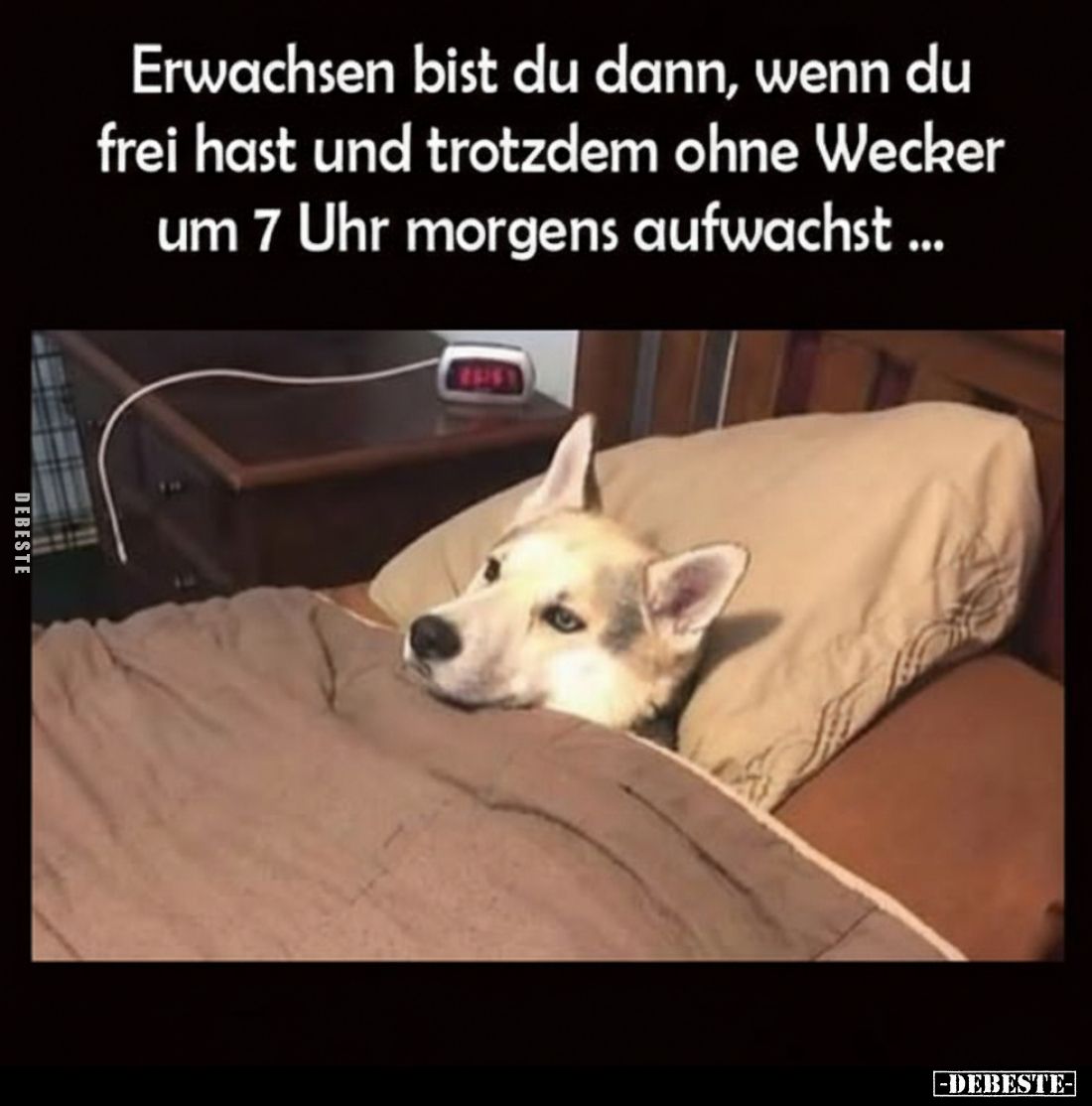Erwachsen bist du dann, wenn du frei hast und trotzdem ohne Wecker um 7 Uhr morgens aufwachst ...