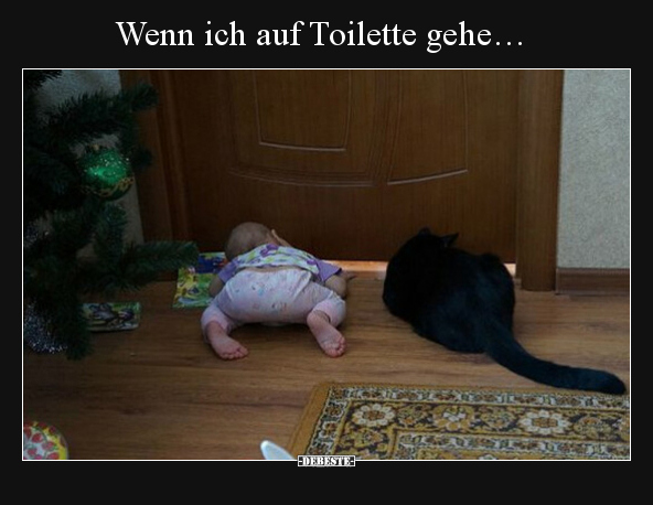 Wenn ich auf Toilette gehe….. - Lustige Bilder | DEBESTE.de