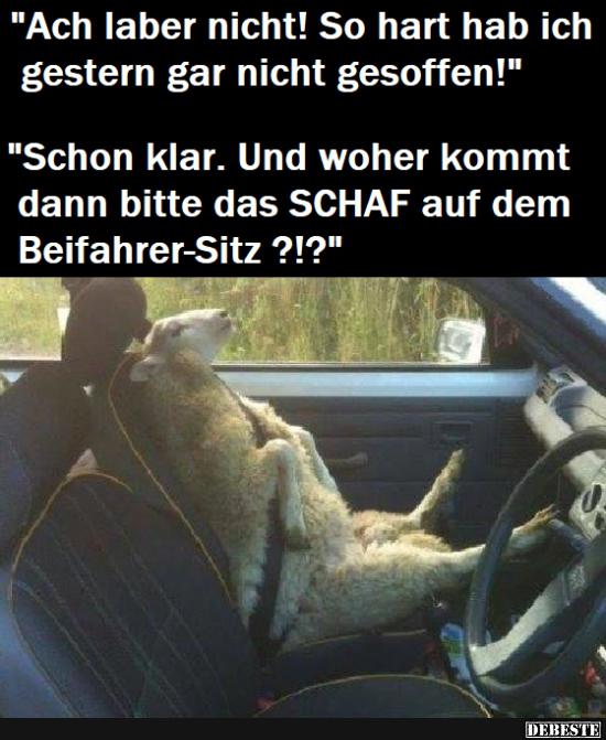 Ach laber nicht! So hart hab ich gestern gar nicht gesoffen!