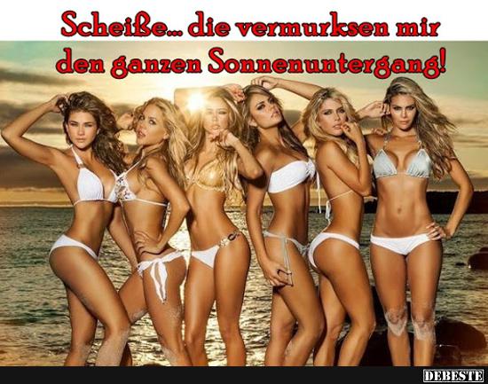 Schei... die vermurksen mir den ganzen Sonnenuntergang!