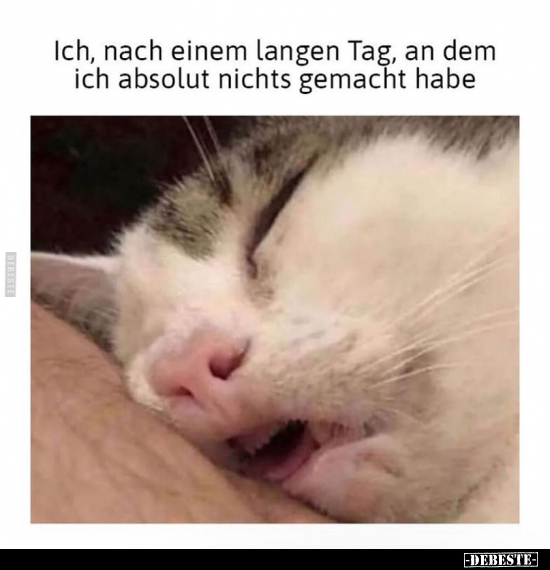 Ich, nach einem langen Tag, an dem ich absolut nichts gemacht habe.. - Lustige Bilder | DEBESTE.de