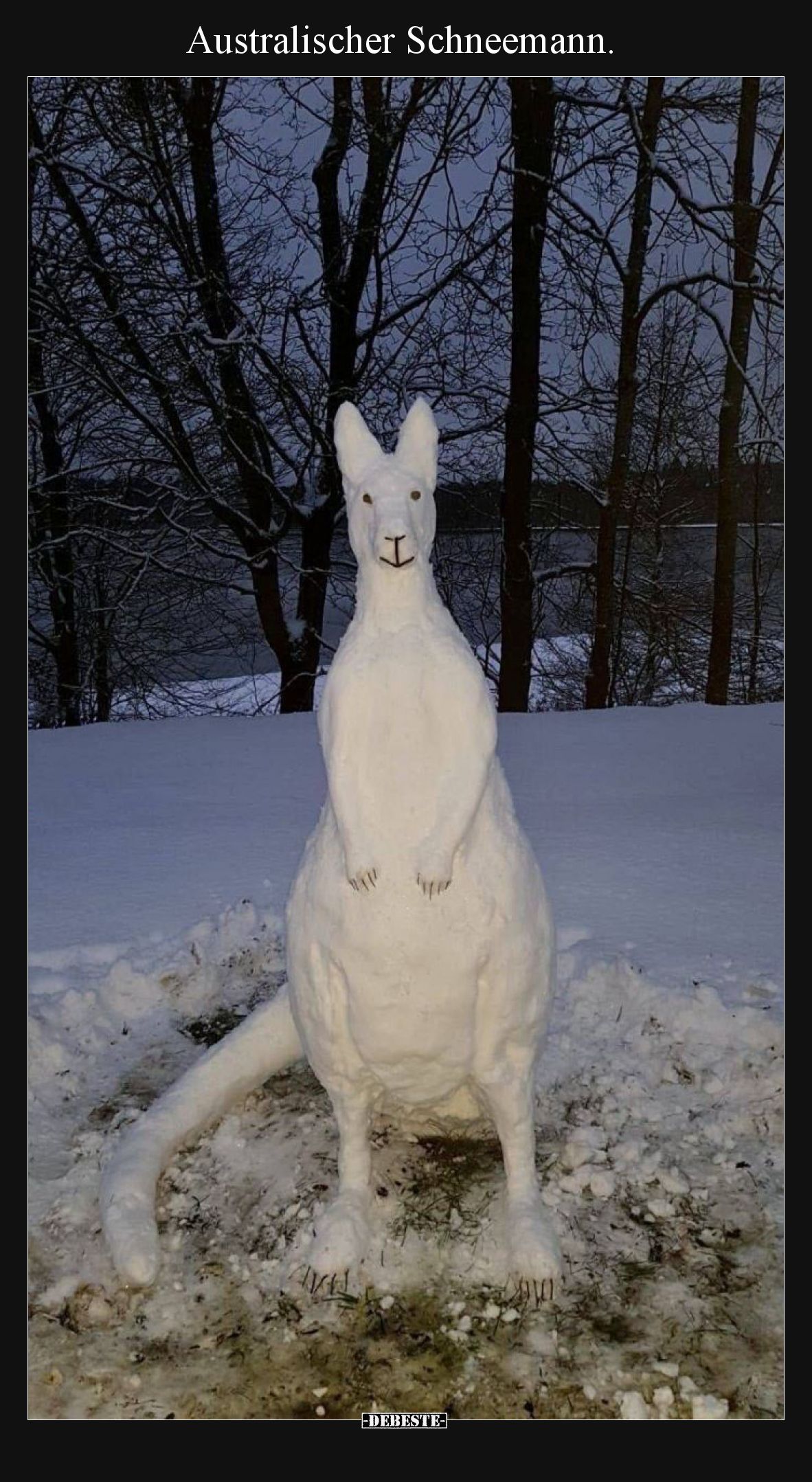 Australischer Schneemann... - Lustige Bilder | DEBESTE.de
