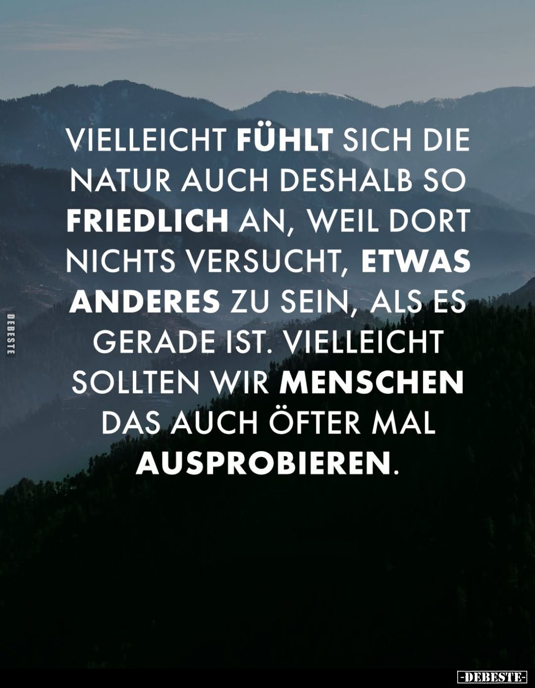 Vielleicht fühlt sich die Natur auch deshalb so friedlich an, weil dort nichts versucht, etwas anderes zu sein, als es gerade...