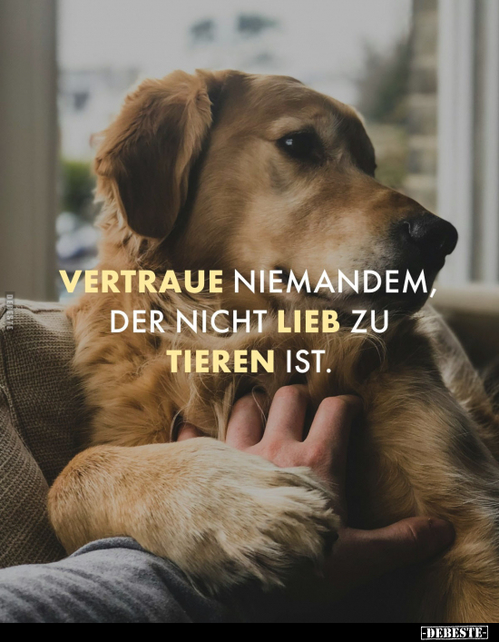 Vertraue niemandem, der nicht lieb zu Tieren ist.. - Lustige Bilder | DEBESTE.de