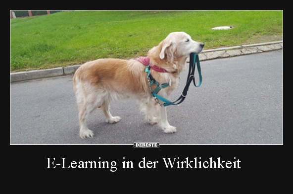 E-Learning in der Wirklichkeit..