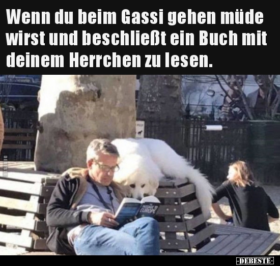 Wenn du beim Gassi gehen müde wirst und beschließt ein Buch.. - Lustige Bilder | DEBESTE.de