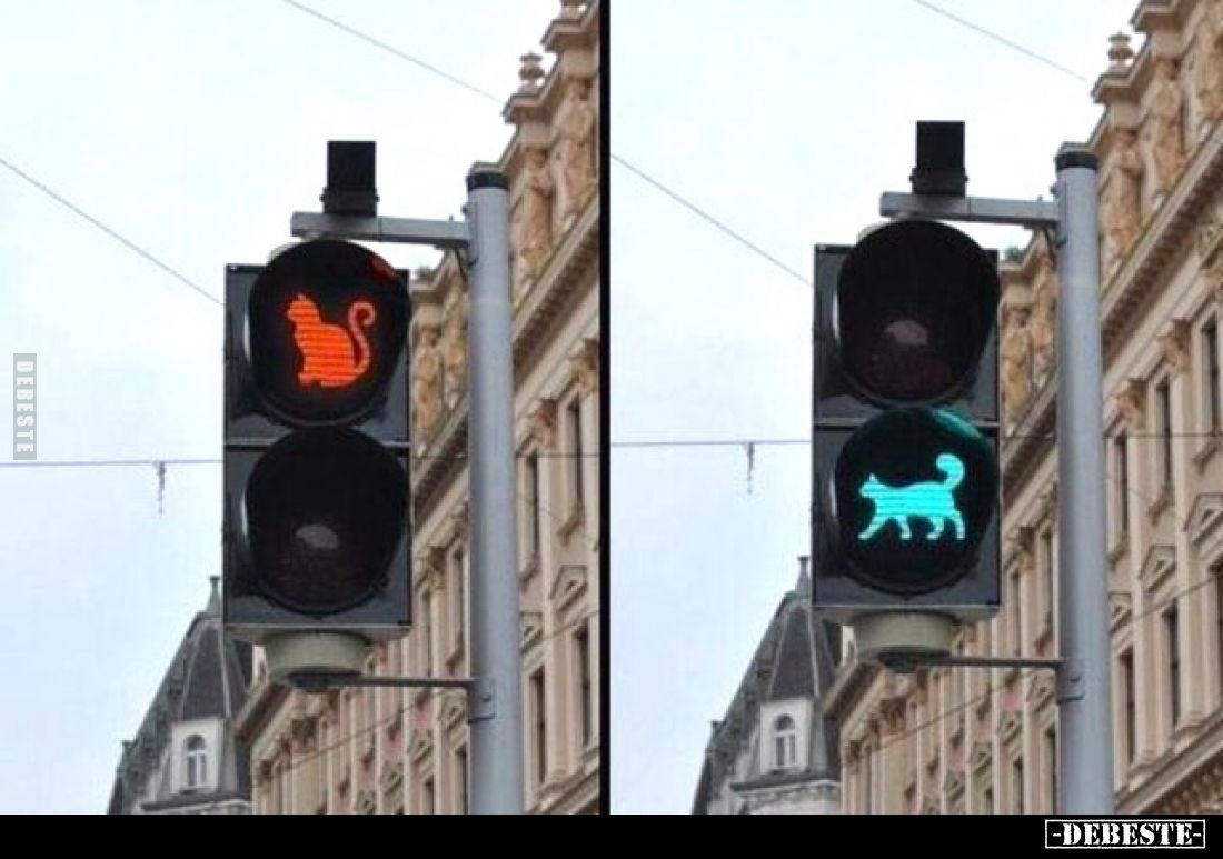  - Lustige Bilder | DEBESTE.de