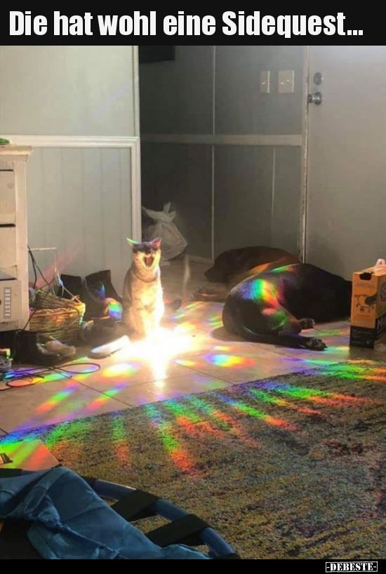 Die hat wohl eine Sidequest...