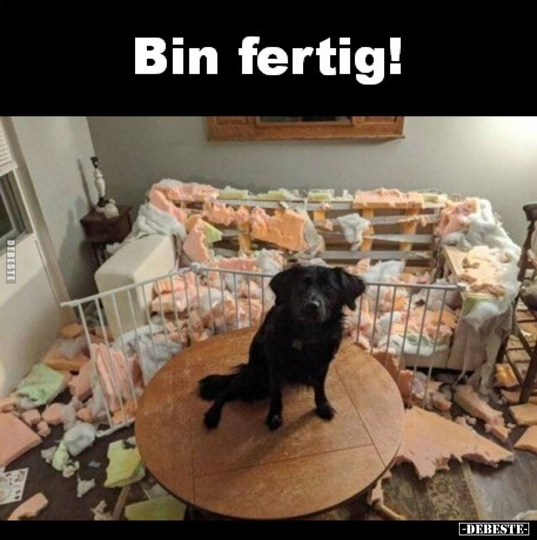 Bin fertig!