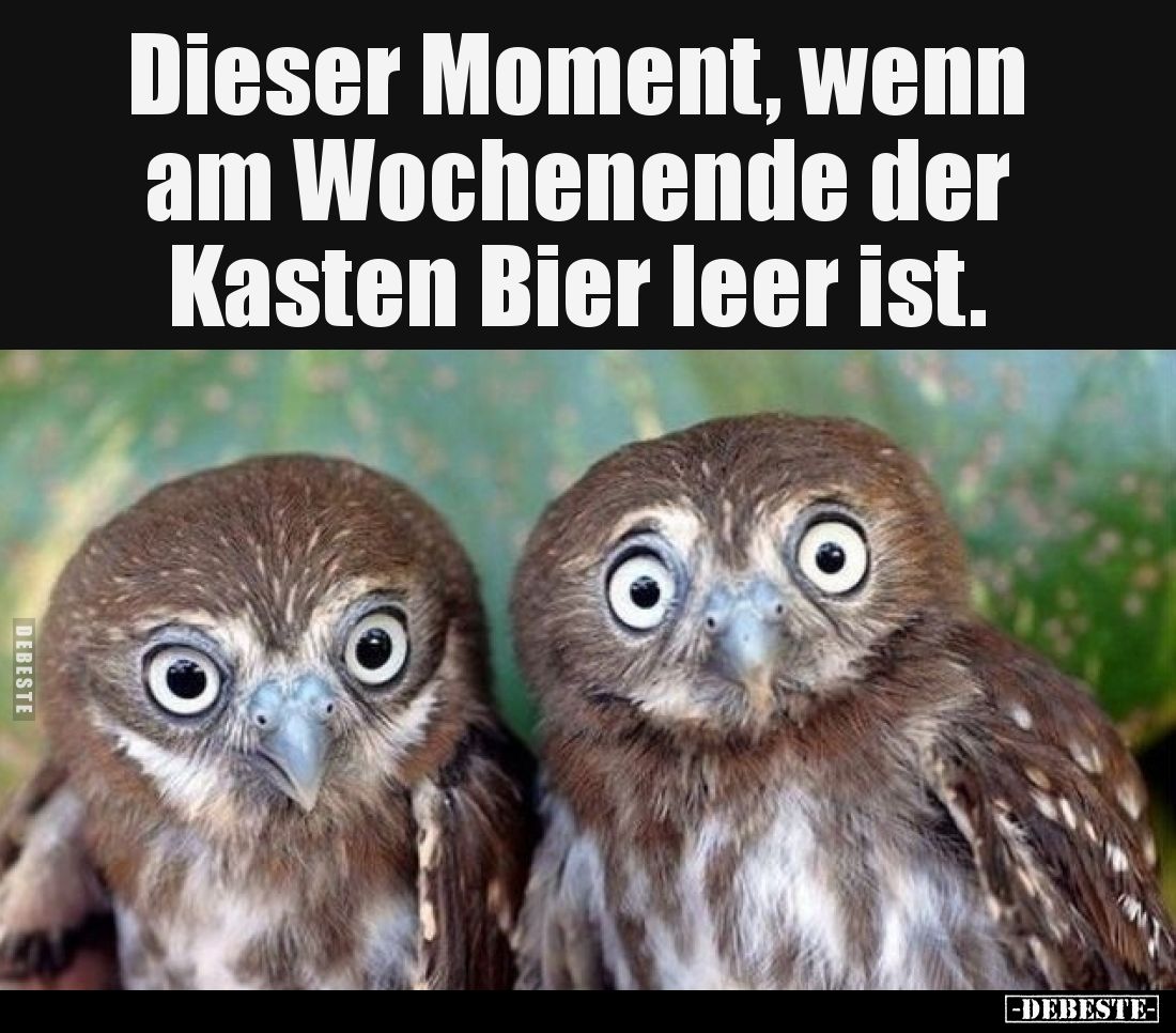 Dieser Moment, wenn am Wochenende der Kasten Bier leer ist.