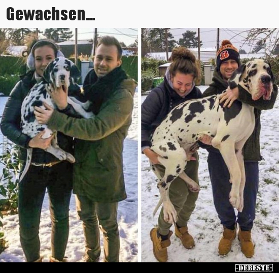 Gewachsen...