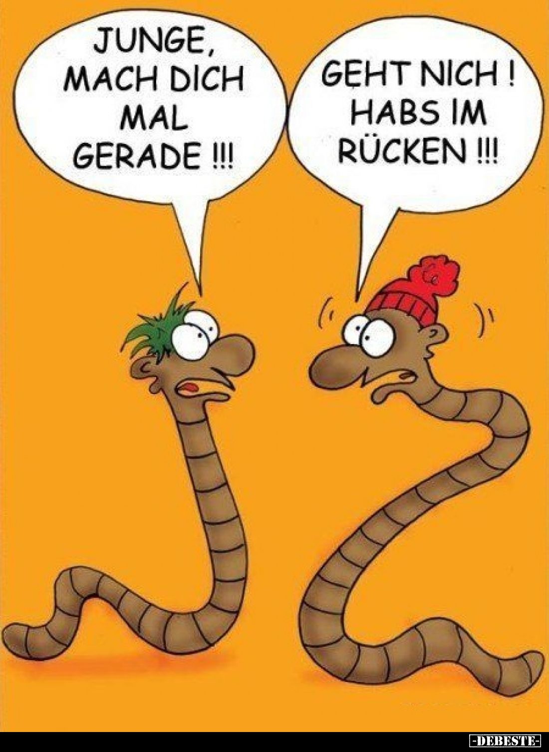 Junge, mach dich mal gerade!! -
Geht nich! Habs im Rücken!!