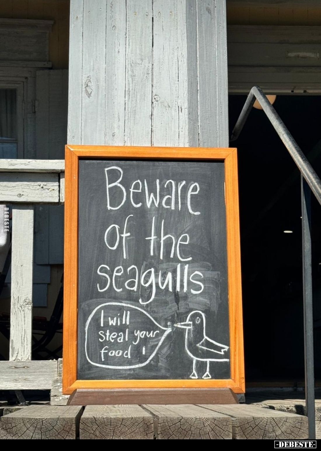 Beware of the Seagulls