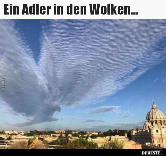 Ein Adler in den Wolken... - Lustige Bilder | DEBESTE.de