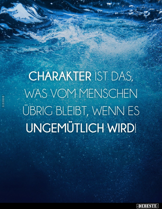 Charakter ist das, was vom Menschen übrig bleibt.. - Lustige Bilder | DEBESTE.de