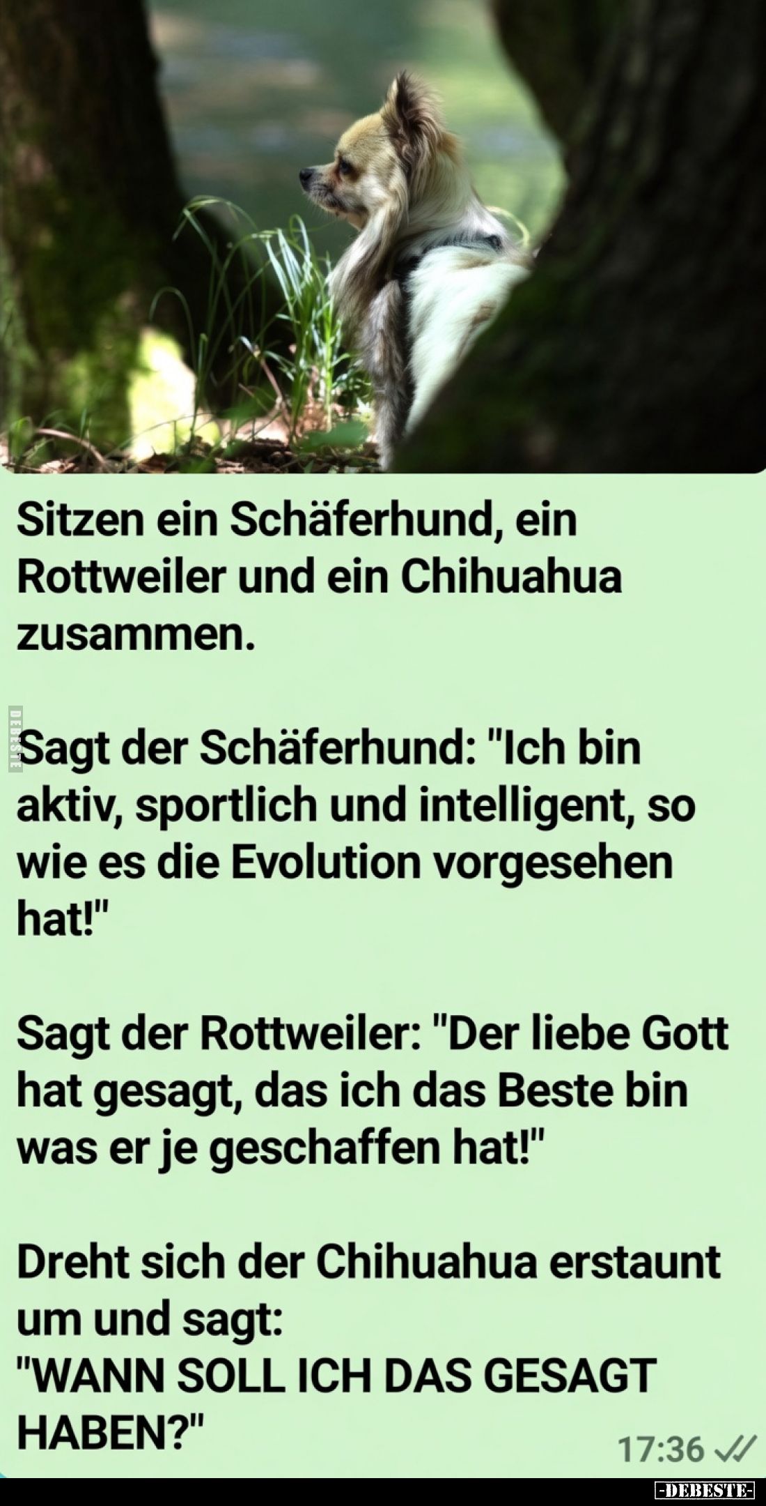Sitzen ein Schäferhund, ein Rottweiler und ein Chihuahua zusammen.
Sagt der Schäferhund: "Ich bin aktiv, sportlich und ...