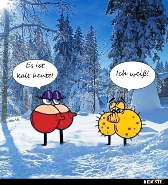 Es ist kalt heute!.. - Lustige Bilder | DEBESTE.de