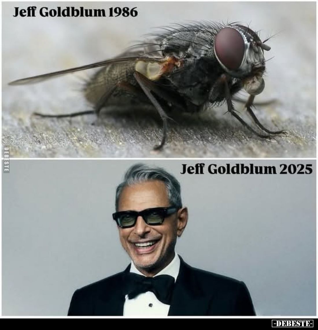Jeff Goldblum 1986 vs 2025.