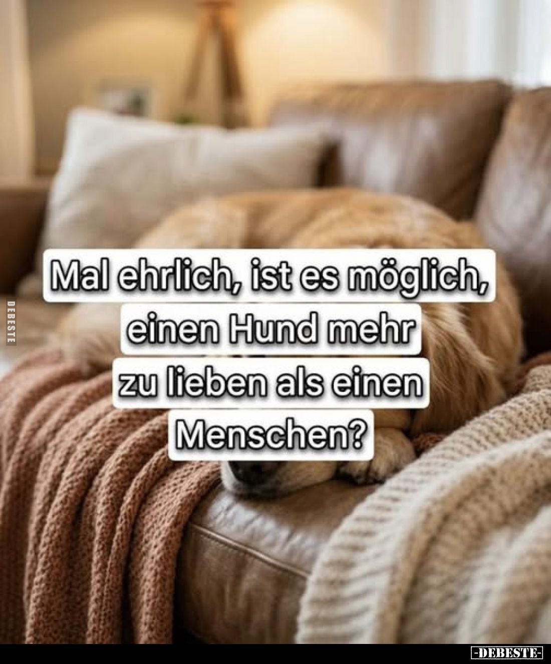 Mal ehrlich, ist es möglich, einen Hund mehr zu lieben als einen Menschen?