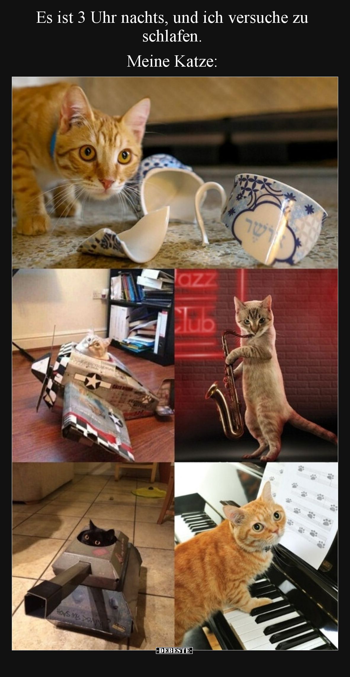Es ist 3 Uhr nachts, und ich versuche zu schlafen. Meine Katze: