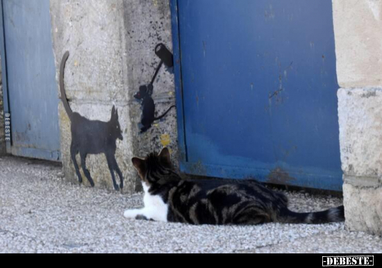  - Lustige Bilder | DEBESTE.de