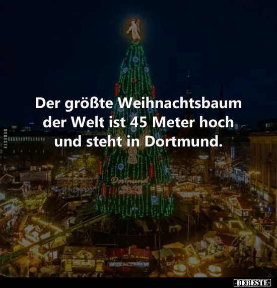 Der größte Weihnachtsbaum der Welt.. - Lustige Bilder | DEBESTE.de