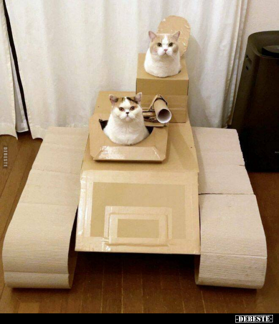  - Lustige Bilder | DEBESTE.de