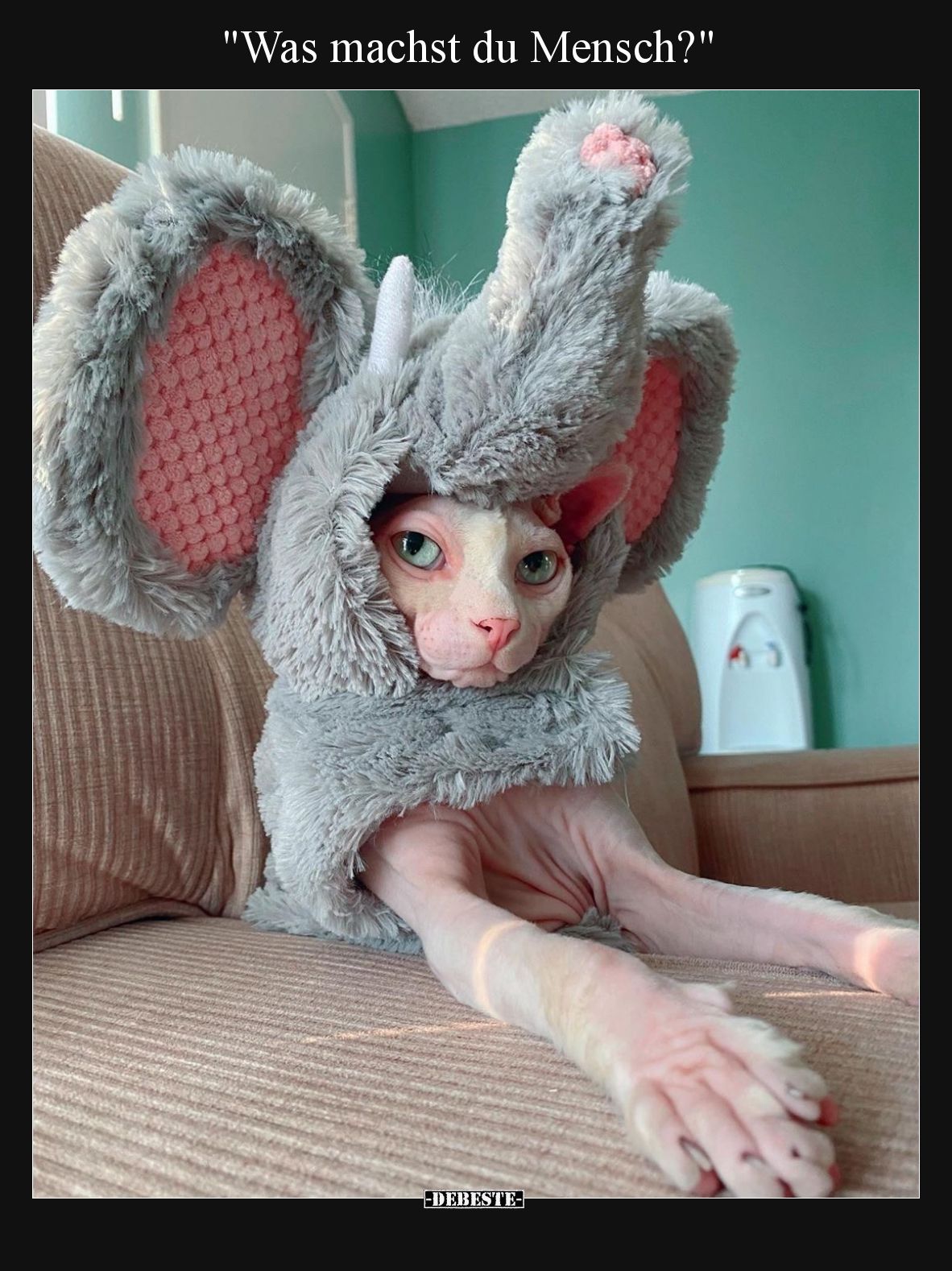 Was machst du Mensch?