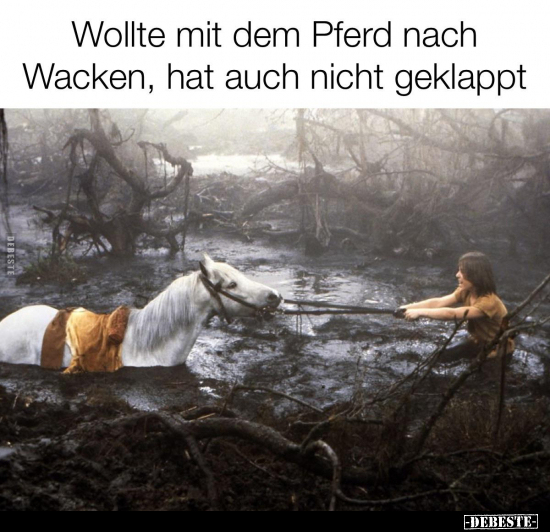 Wollte mit dem Pferd nach Wacken, hat auch nicht.. - Lustige Bilder | DEBESTE.de