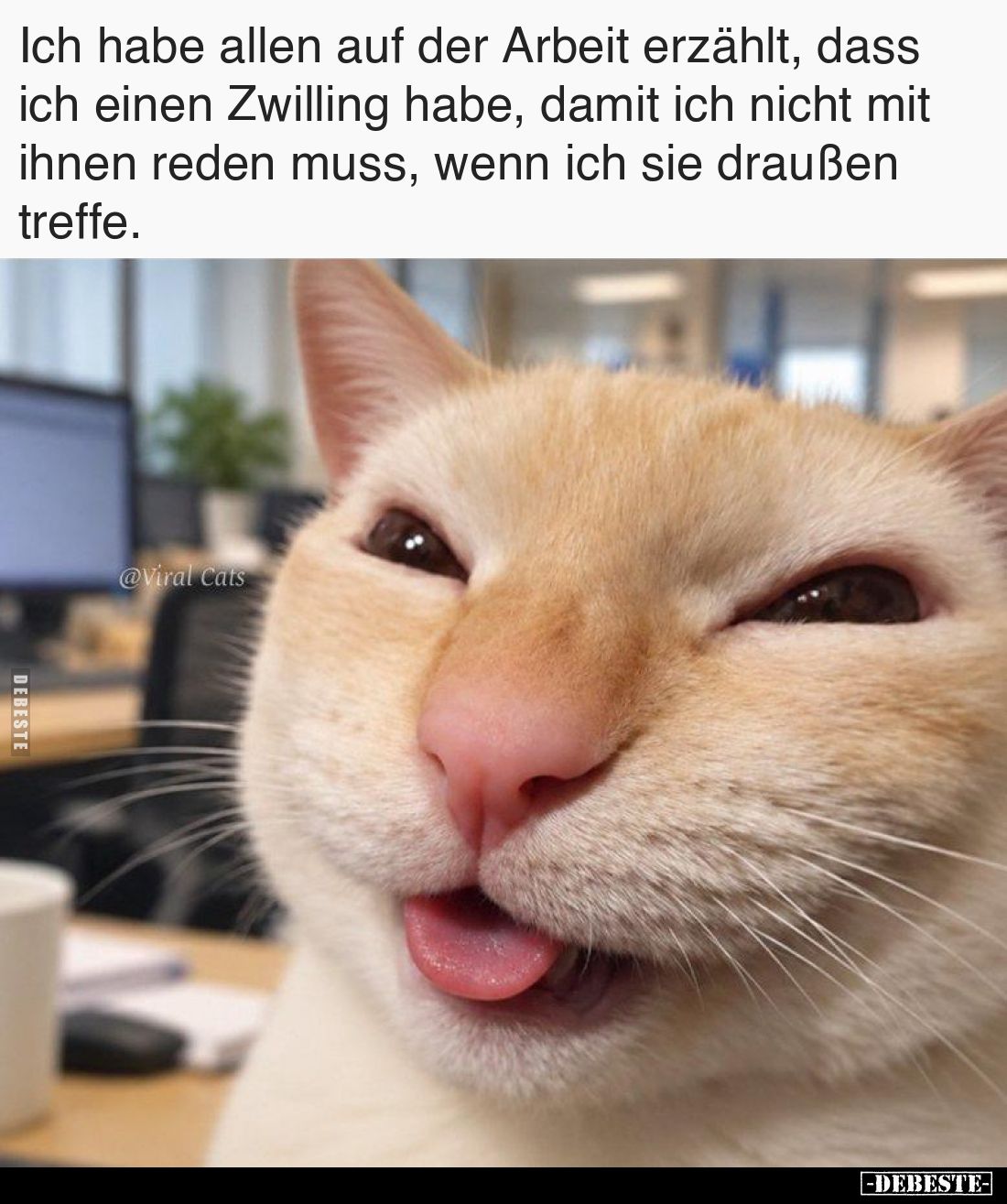 Ich habe allen auf der Arbeit erzählt, dass ich einen Zwilling habe, damit ich nicht mit ihnen reden muss, wenn ich sie drauß...
