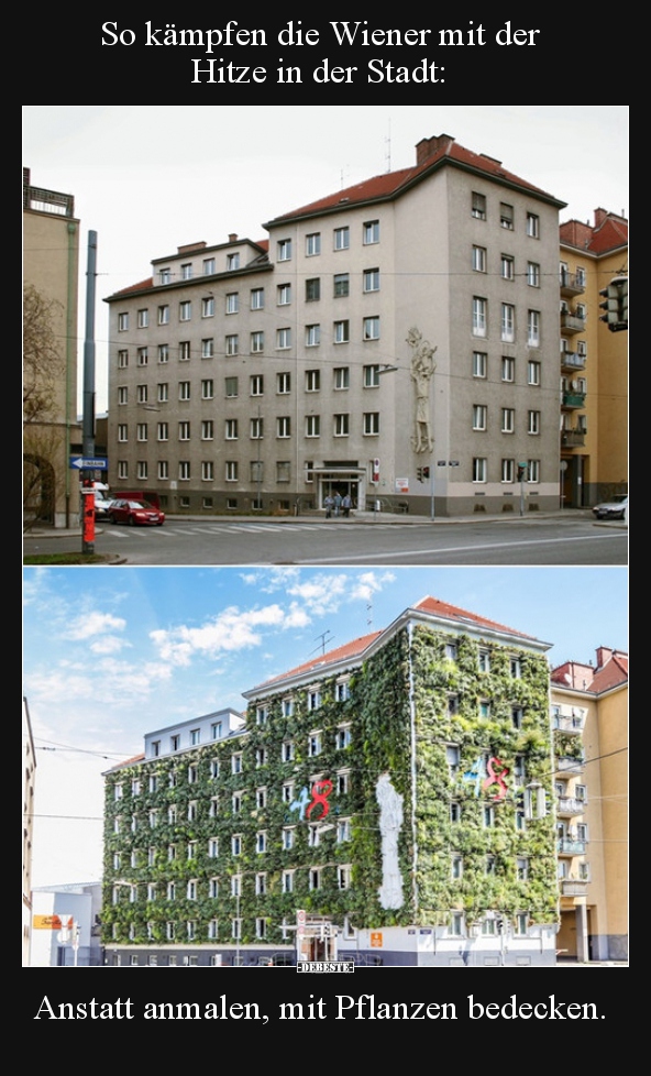 So kämpfen die Wiener mit der Hitze in der Stadt..