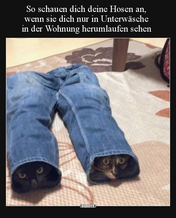 So schauen dich deine Hosen an, wenn sie dich nur in.. - Lustige Bilder | DEBESTE.de