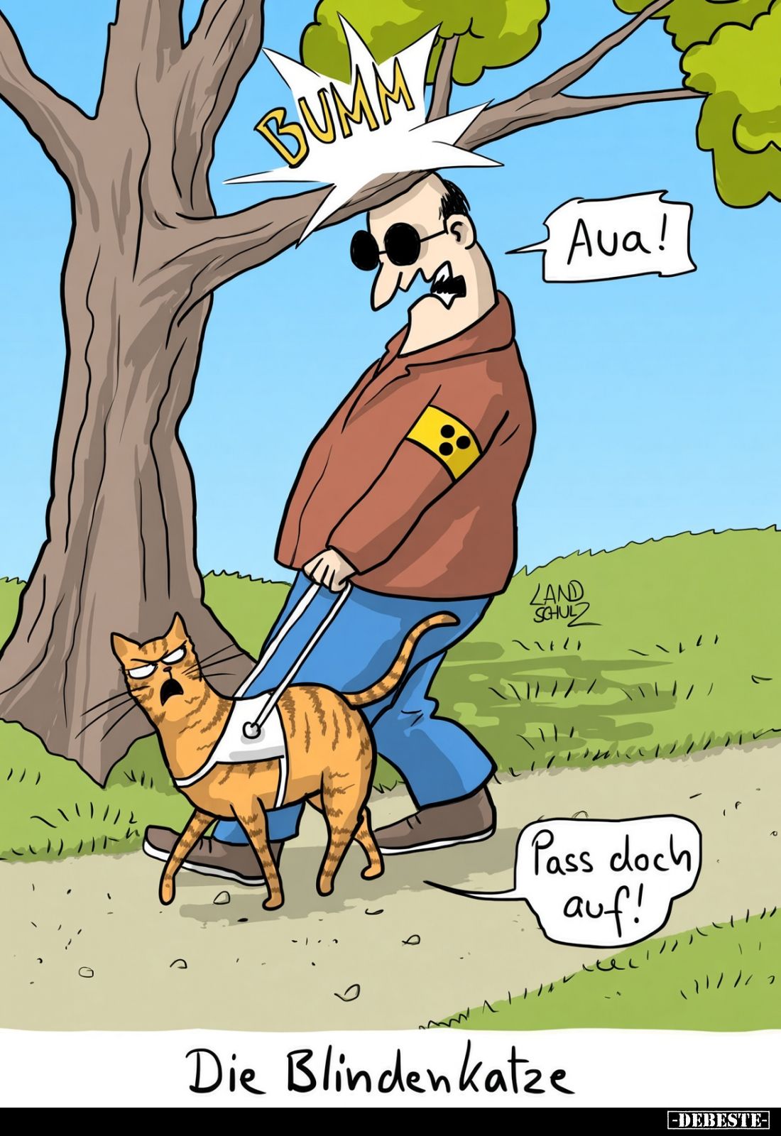 Die Blindenkatze.
-
Aua!
-
Pass doch auf!